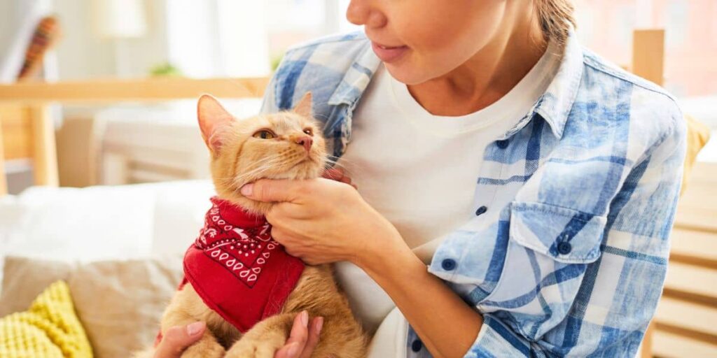 Smart Loan Options Pet Owners